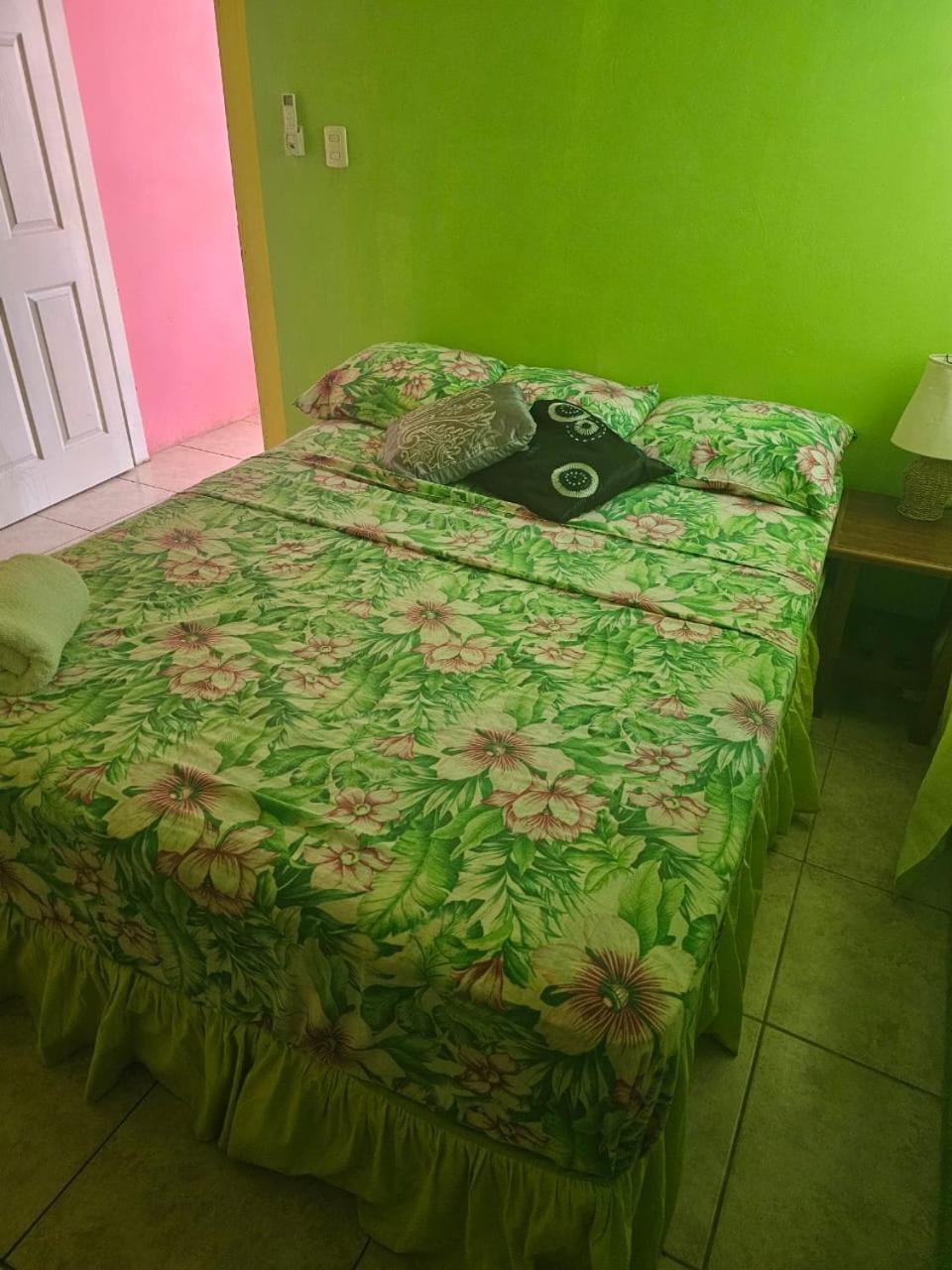 Fish Tobago Guesthouse Or Joy And Brandon Guesthouse Buccoo Cameră foto